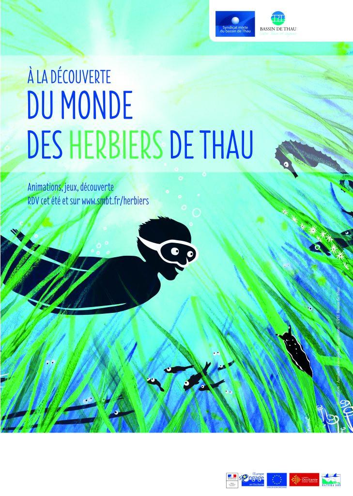 ANIMATION : À LA DÉCOUVERTE DU MONDE DES HERBIERS DE THAU
